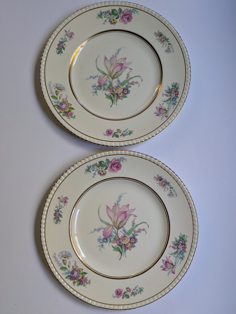 2 Vintage Dinner Plates Simpson's Potters Ambassador Ware Floral Bouquet